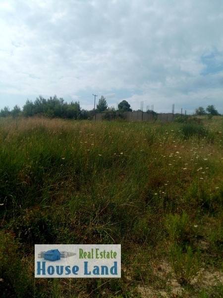 (For Sale) Land Agricultural Land  || Chalkidiki/Pallini - 5.000 Sq.m, 60.000€ 